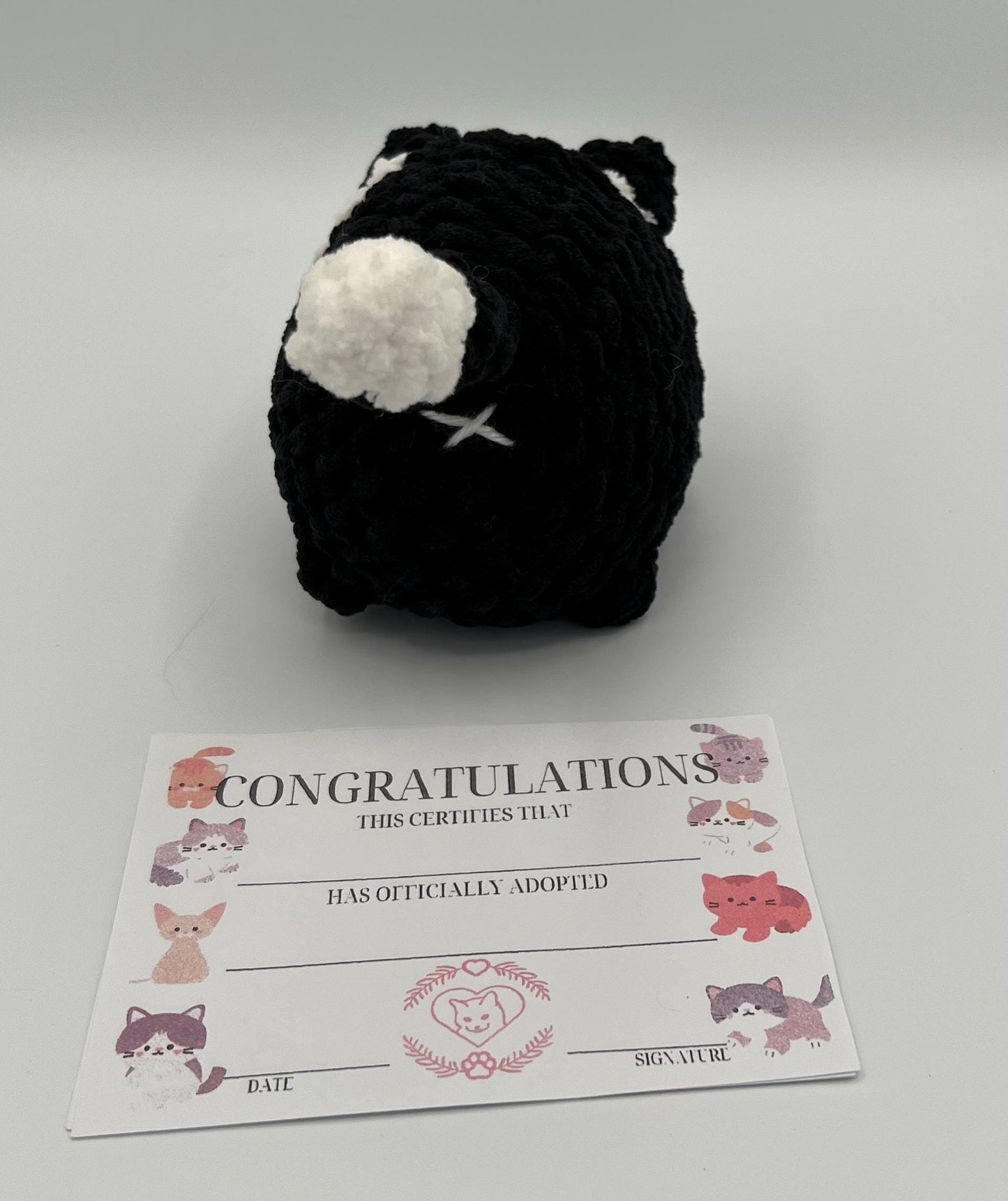 Kitten Plushie-Available in SEVERAL COLORS