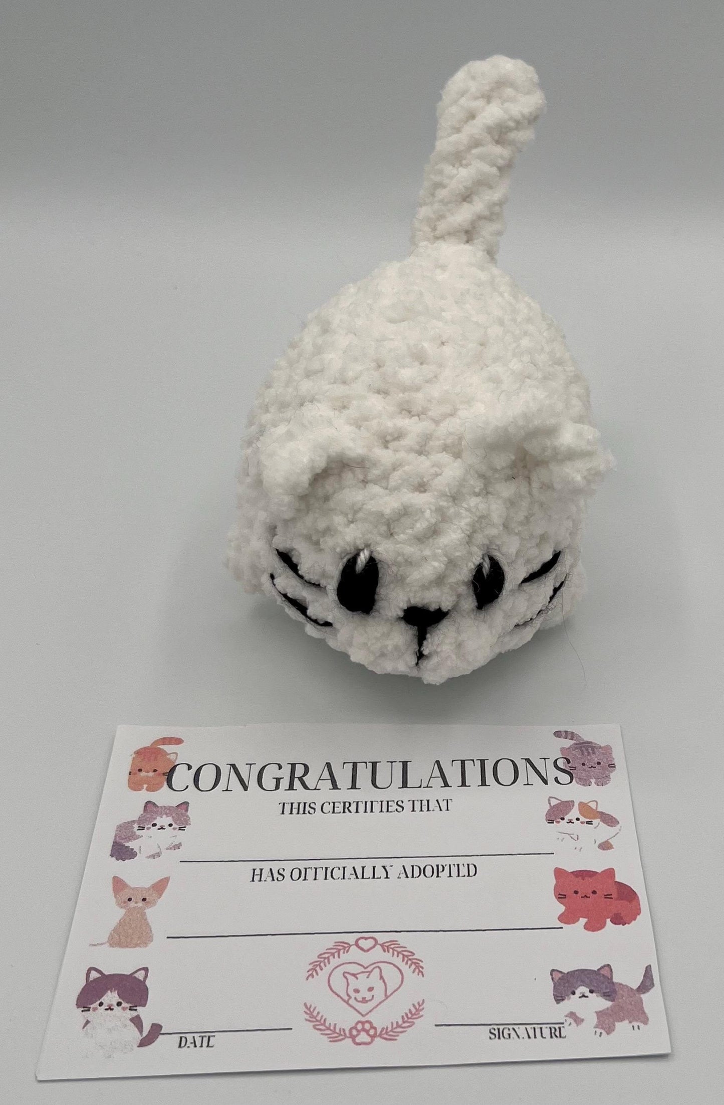 Kitten Plushie-Available in SEVERAL COLORS