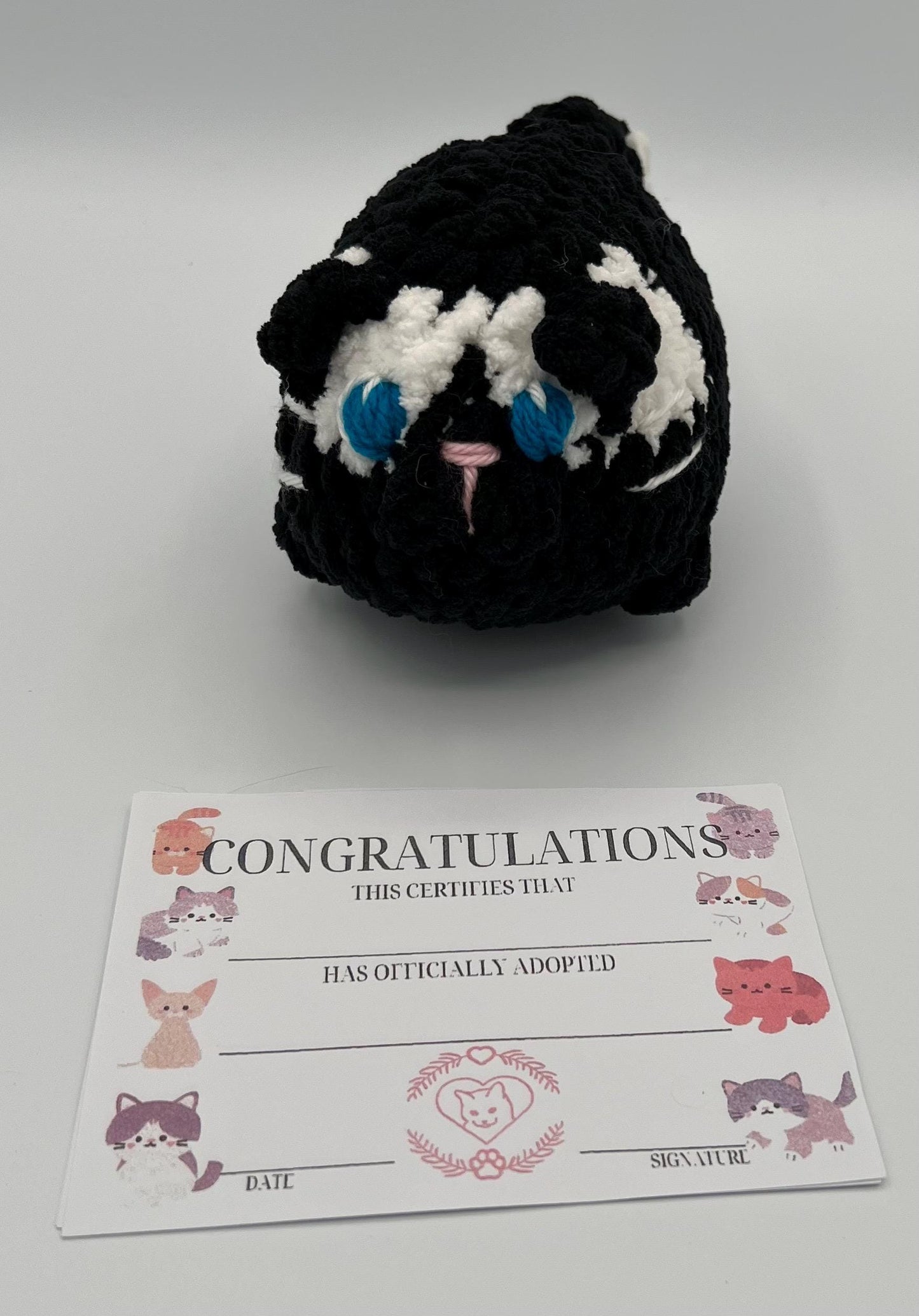 Kitten Plushie-Available in SEVERAL COLORS